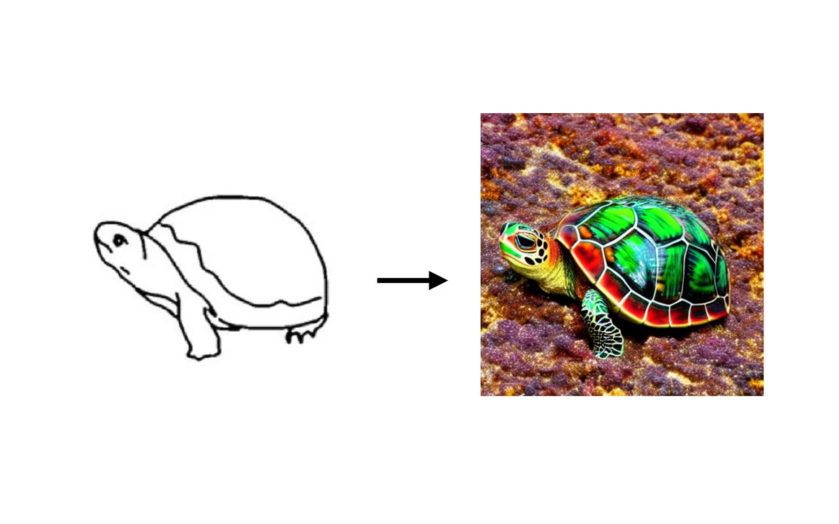 A hand-drawn turtle line sketch, an arrow, and a colourful AI render of the same turtle