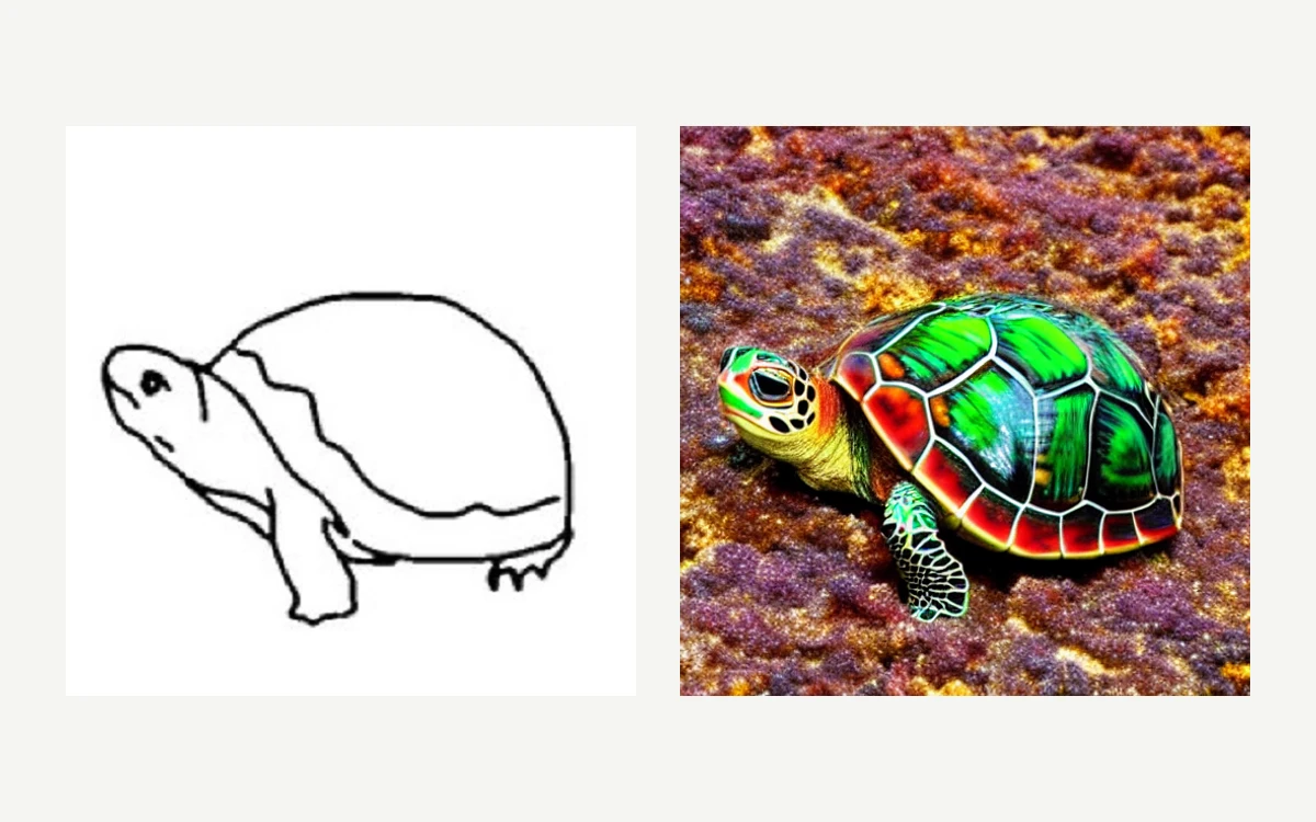 A simple hand-drawn turtle sketch on the left and the finished colourful turtle image on the right