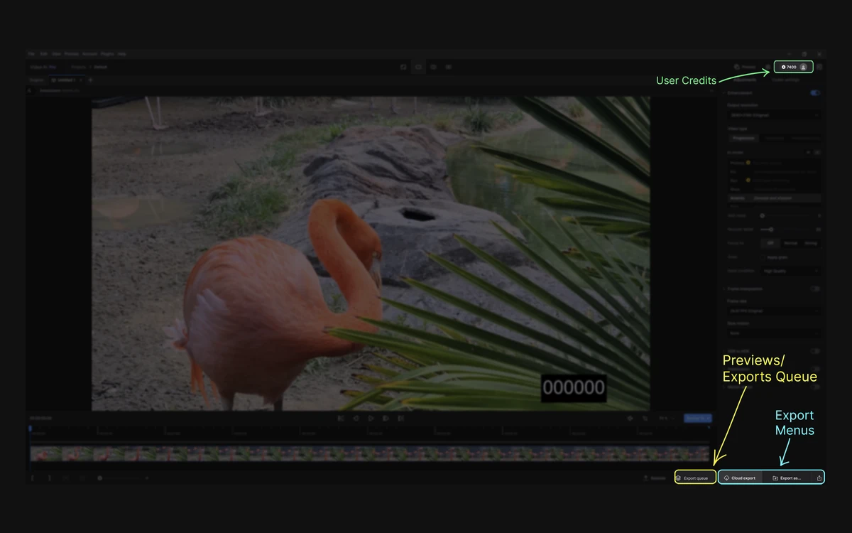Topaz Video desktop app with a flamingo clip loaded, the credit balance in the top bar and Cloud export and Export queue buttons at the bottom