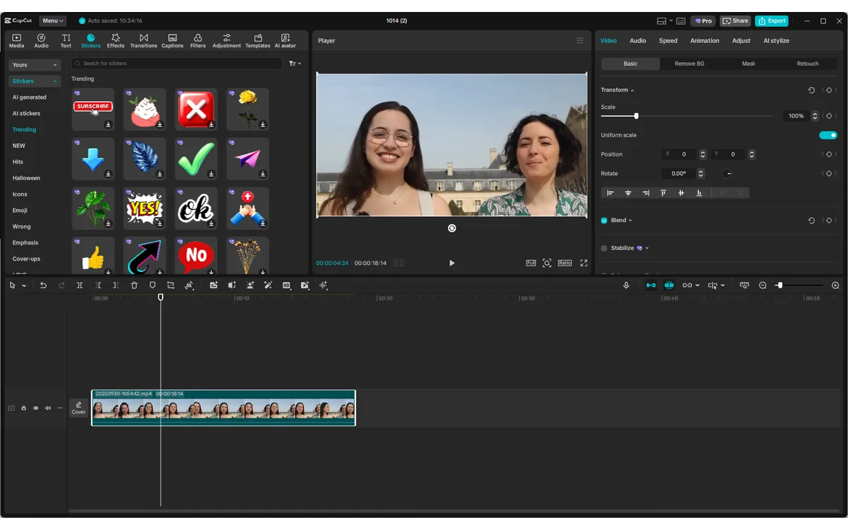 CapCut desktop editor showing the sticker and asset library over a video clip