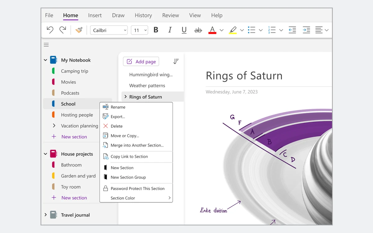 OneNote on Windows with the section right-click menu open, showing Export and Password Protect This Section