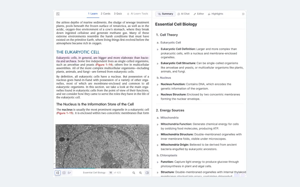 RemNote PDF annotation view with highlights