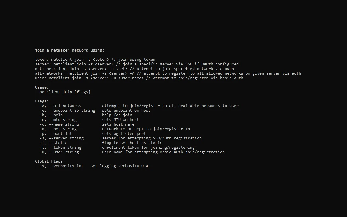 Terminal output listing the flags of the netclient join command